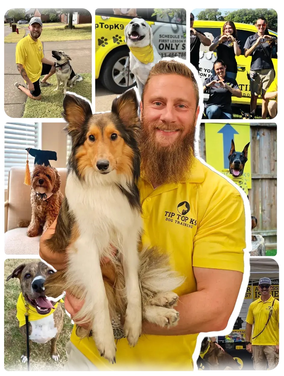 Ryan Wimpey, Founder of Tip Top K9 · Tulsa team leader
